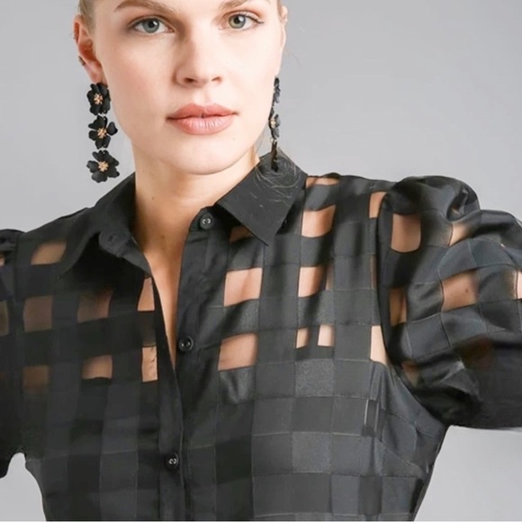 Basket Weave Organza Button Down Dress - Picture 4 of 7